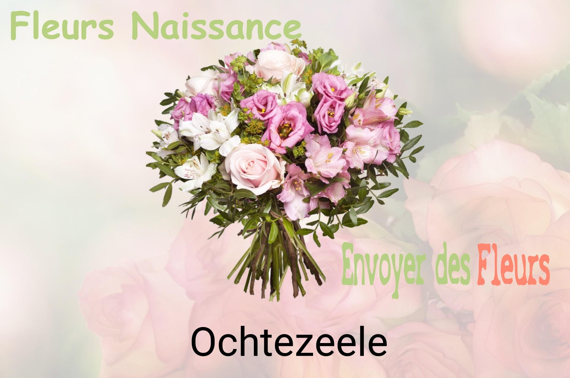Bouquet de fleurs de naissance livré à Ochtezeele